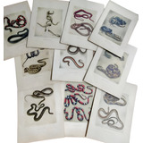Cartoes Serpentes Brasil Eurico