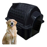 Casa Caminha Cachorro Plastico