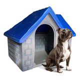Casa Casinha Cachorro Cães Plástica Casa Número 5 Cor Azul