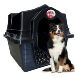 Casa Casinha Plastica Cachorro