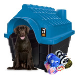 Casa Casinha Plástica Para Cães N05 Azul C 1 Manta De Brinde