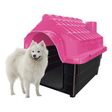 Casa Pet N6 Casinha