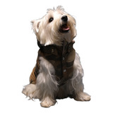 Casaco Colete Puffer Pet