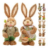 Casal De Coelhos De