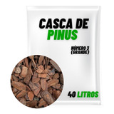 Casca De Pinus Escovada