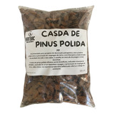 Casca De Pinus Media