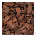 Casca Pinus Semi Polida