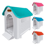 Casinha Casa Cachorro Base