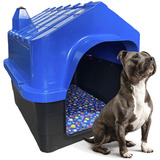 Casinha Plastica Cachorro Caes