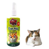 Cat Nip Atrativo Liquido