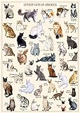 Cat Puzzles For Adults 1000 Pieces And Up,vintage Kitty Puzzles For Adults, Animal Feline Jigsaw Puzzle Kittens As Cat Lover Gift