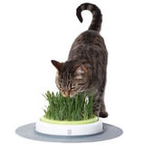 Catit Jardim Catnip Senses