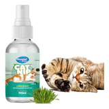 Catnip Para Gatos Erva