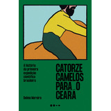 Catorze Camelos Para O