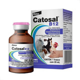 Catosal B12 20 Ml