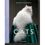 Cats Photographs
