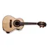 Cavaco Rozini Profissional Rc 07 Ativo Natural Jacaranda Esc