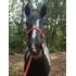 Cavalo  égua  Manga Larga Pampa De Preto