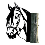Cavalo Equinos Silhueta De