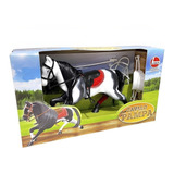 Cavalo Pampa Crina E