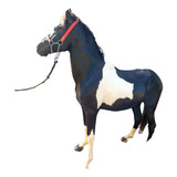 Cavalo Pampa De Preto Manga Larga Marchador 1 43m De Cernelh