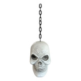 Caveira Cabeca Cranio Skull