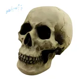 Caveira Decorativa Cranio Grande