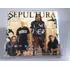 Cd Sepultura Single Inédito (foto Mídia S/ Riscos) Raríssimo
