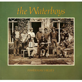 Cd The Waterboys Fisherman