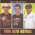 Cd Trio Alto Astral - Troca O Ódio Pelo Amor Versão Do Álbum Estandar