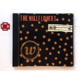 Cd Wallflowers