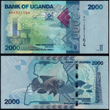 Cedula De Uganda 2000