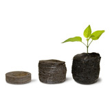 Celula De Germinacao E