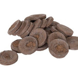 Celula De Germinacao E