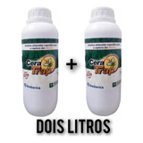 Cera Trap Atrativo Alimentar