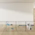 Cercadinho Pet 6 Telas 40x40cm   Braçadeiras E Fixadores Cor Preto