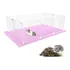 Cercado Porquinho Da Índia Filhotes Hamster 60x90 Com Soft
