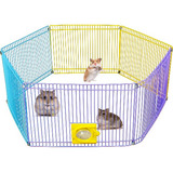 Cercado Roedor Hamster Sirio