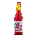 Cerveja Fruitbier Framboesa 355ml