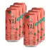 Chá Verde Frutas Vermelhas Zero Açúcar Yaí 290ml   Cx C 6 Un