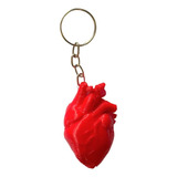 Chaveiro Anatomico 3d De