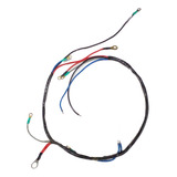 Chicote Eletrico 70cm P