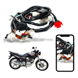 Chicote Fiacao Principal Cbx