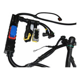 Chicote Motor Modulos Fh