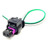 Chicote Plug Lanterna Placa