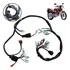 Chicote Principal Fiação Cbx 200 Strada 93 A 2003 Moto Honda