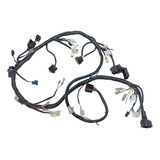 Chicote Principal Ys 250