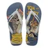 Chinelo Havaianas Top Warner Classic  Desenhos 100% Original