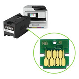Chip Reset Caixa De