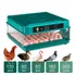 Chocadeira 130 Ovos 220v Bateria 12v Ovoscópio